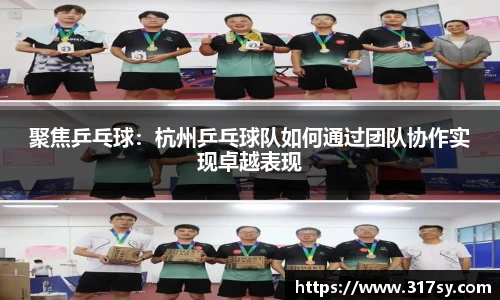 聚焦乒乓球：杭州乒乓球队如何通过团队协作实现卓越表现