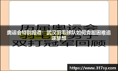 奥运会特别报道：武汉羽毛球队如何克服困难追逐梦想
