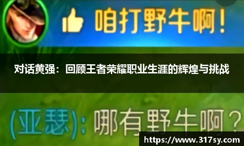 对话黄强：回顾王者荣耀职业生涯的辉煌与挑战