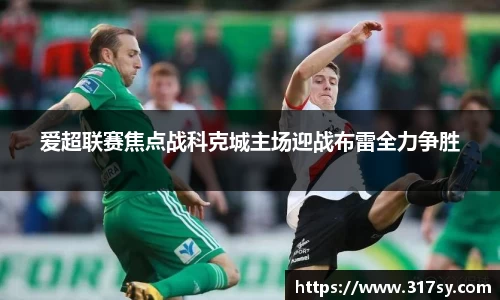yy易游