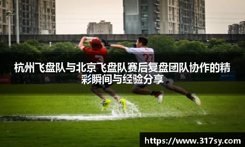 yy易游