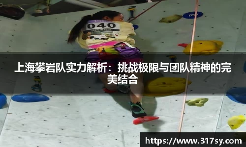 上海攀岩队实力解析：挑战极限与团队精神的完美结合